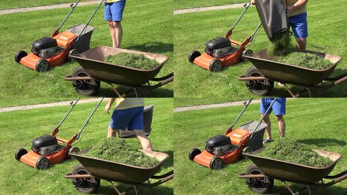 园丁盖伊把草从割草机包里卸到手推车里。全高清