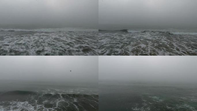 浓雾和薄雾中的沙质海洋海滩和飞翔的海鸥