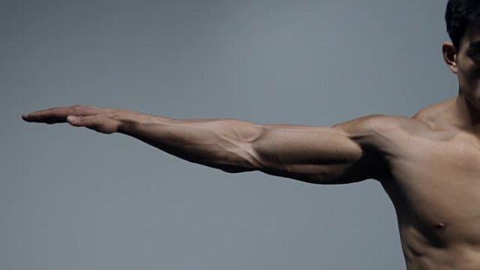 男性健身模型弯曲二头肌并伸展手臂