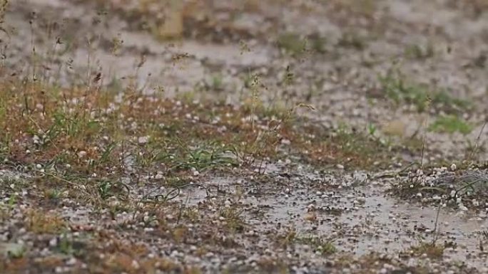 大冰雹暴雨