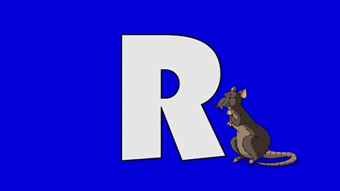 字母R和Rat (前景)