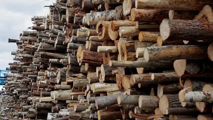 砍伐树木，木材生产，原材料