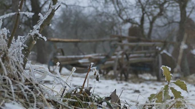 雪地里的古代手推车户外