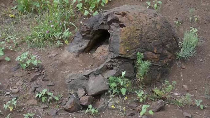 在俄罗斯伏尔加格勒州Wet Olhovka Kotovo区的村庄附近发现了类似于恐龙蛋形状的石灰形成
