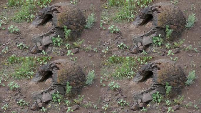 在俄罗斯伏尔加格勒州Wet Olhovka Kotovo区的村庄附近发现了类似于恐龙蛋形状的石灰形成