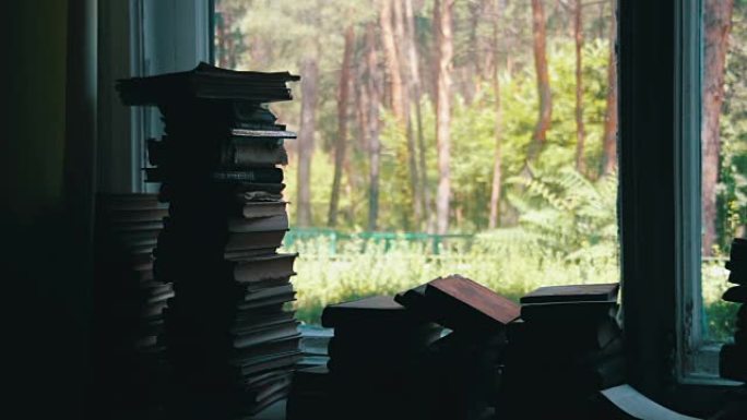 成堆的书躺在外面背景绿色森林的窗台上
