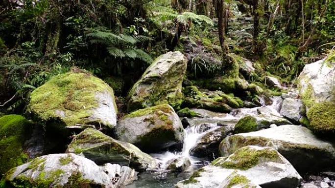 位于茂密的新西兰雨林中的冰川河，靠近福克斯冰川。