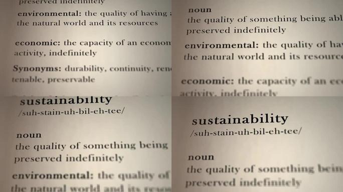 可持续性定义