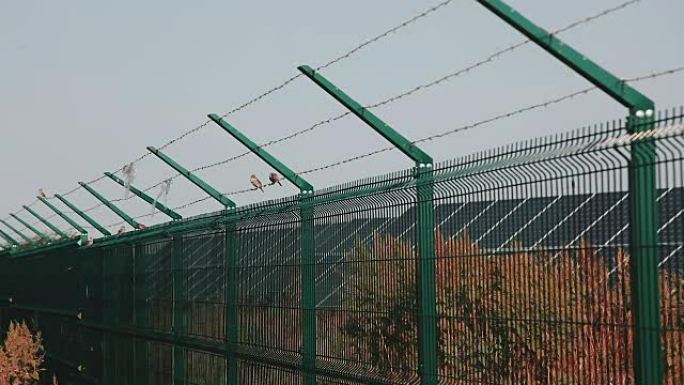 钢焊接太阳能发电厂安全太阳能。网状围栏。围栏太阳能元素所在的领土。