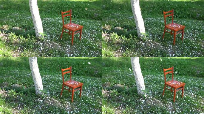 春天，白色苹果树花瓣落在花园的橙色木椅上