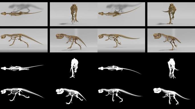 Trex骨架运行周期、3D动画循环、alpha通道