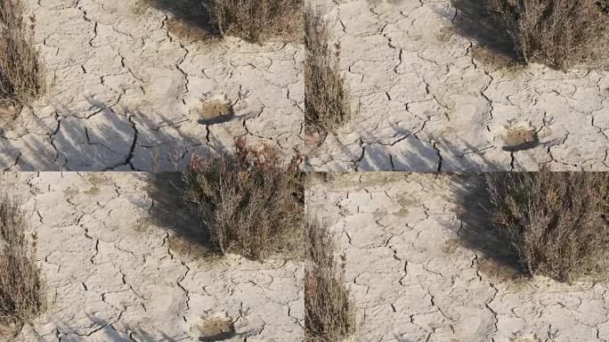 沙漠中的脱水干燥土壤