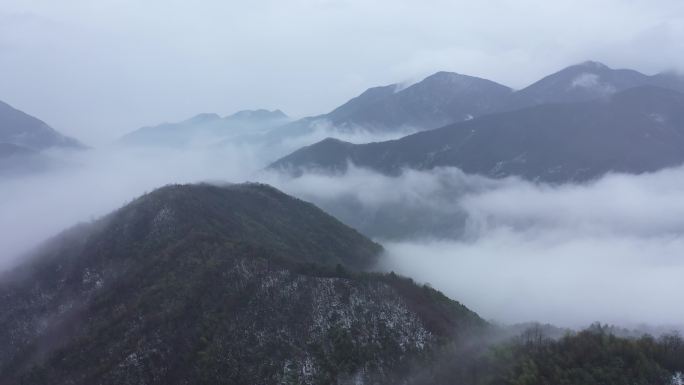 林中云雾 山 雾 森林 大雾