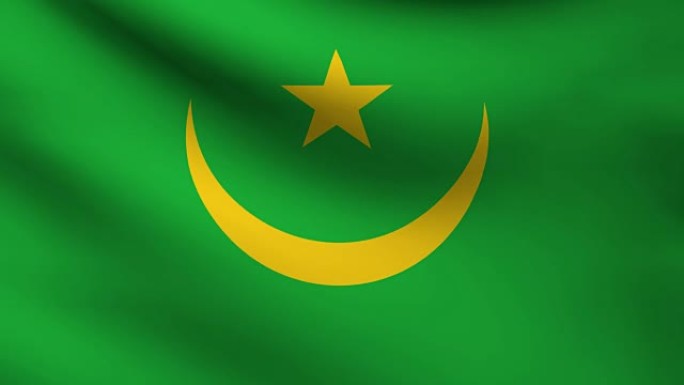 毛里塔尼亚国旗。