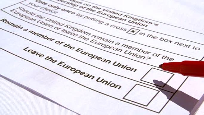 成人决定在欧盟英国成员选举中选择什么
