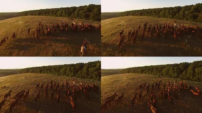 马群在奔跑。