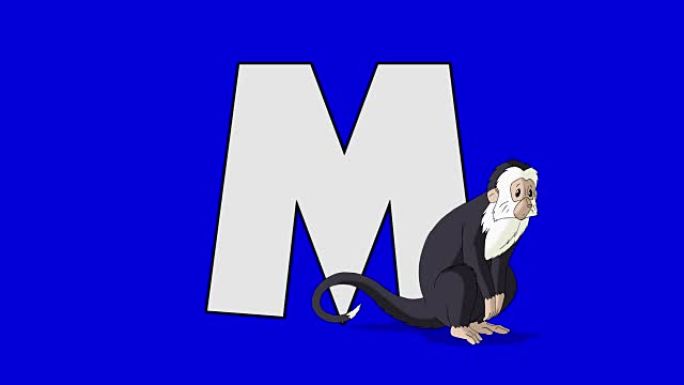 字母M和猴子 (前景)