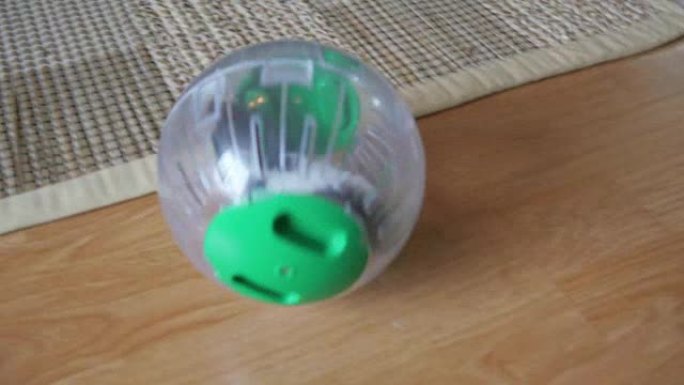 仓鼠宠物轮，家里的塑料球