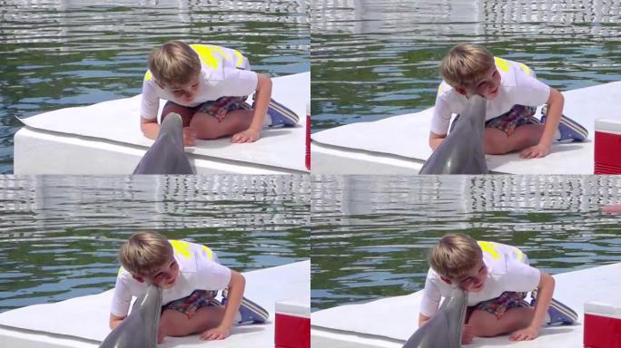 小男孩被海豚亲吻旅游体验玩耍嬉戏亲密接触