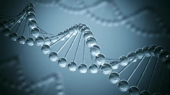 DNA模型循环动画