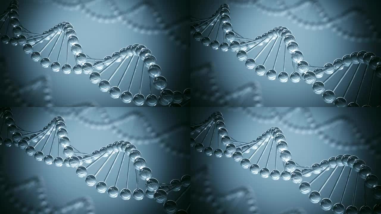 DNA模型循环动画