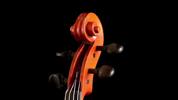 小提琴或中提琴卷轴的细节，钉子在黑色背景下转动