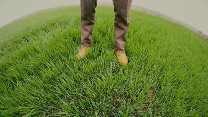 绿色草地上的红鞋