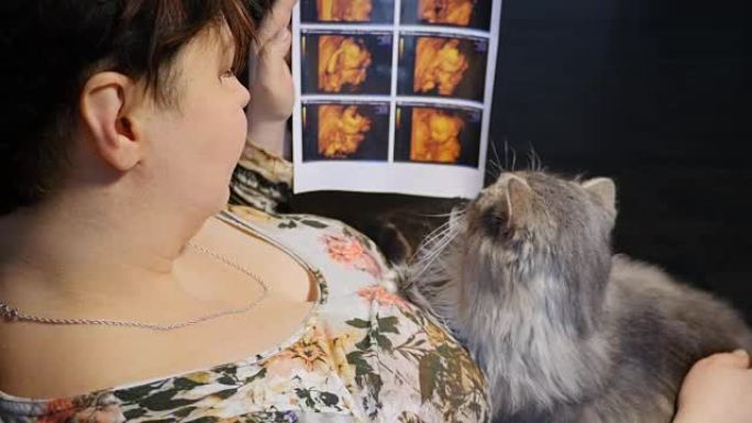 孕妇有超声波照片和猫
