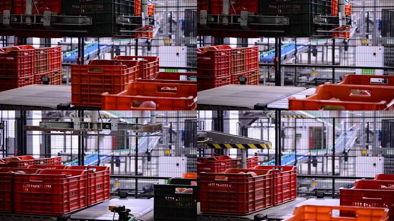 盒子芒果水果工业机器