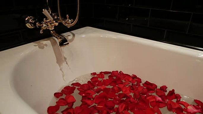 水和红玫瑰花瓣的黑浴