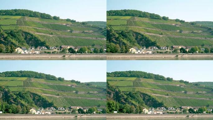 如果莱茵河，台阶山上的葡萄园。