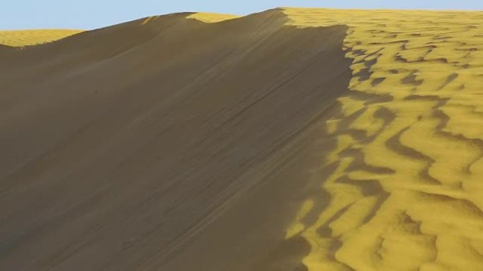 塔尔沙漠沙丘