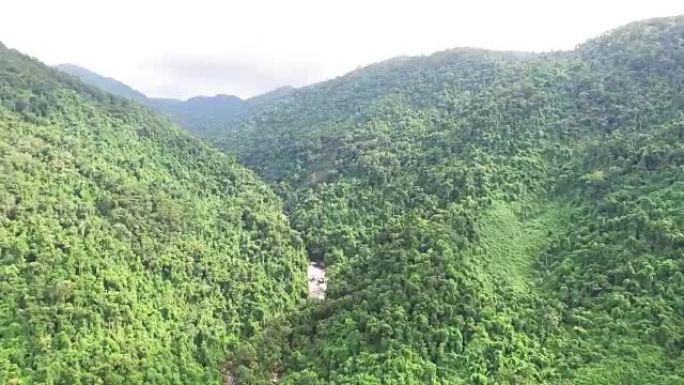 越南南部的空中勘测丛林