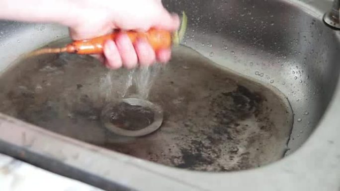 洗水槽里的胡萝卜。