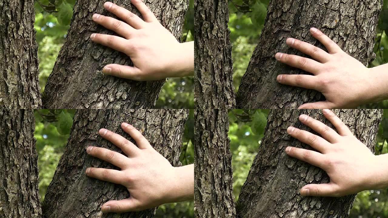 手触摸树