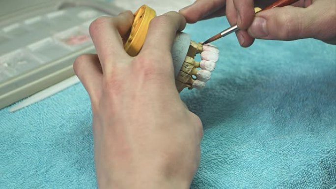 牙医准备人类颌骨模型