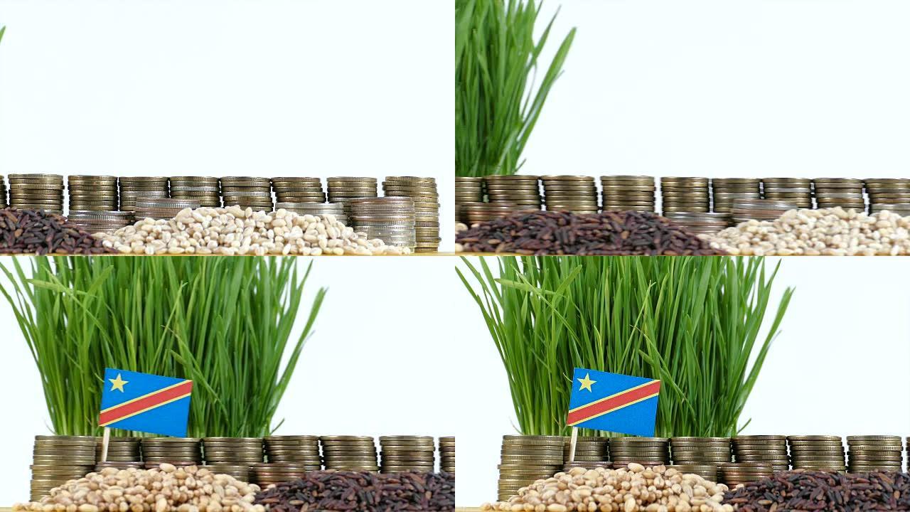 刚果民主共和国国旗挥舞着一叠硬币和一堆小麦