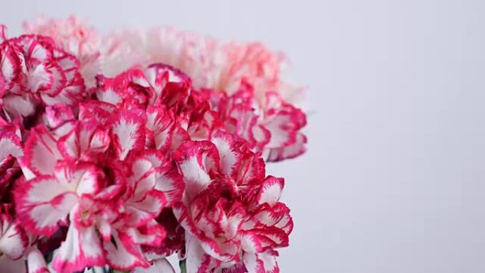 特写，鲜花，花束，旋转，花卉组成由淡粉色土耳其康乃馨组成