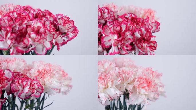 特写，鲜花，花束，旋转，花卉组成由淡粉色土耳其康乃馨组成