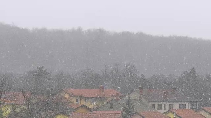 真正的自然大雪的特写镜头