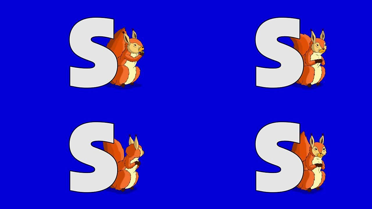 字母S和松鼠 (背景)