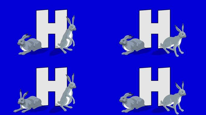 字母H和野兔 (前景)