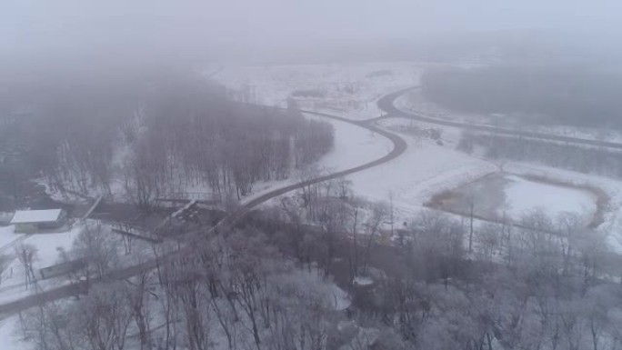 地上满是雪的树