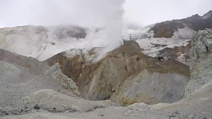 活火山火山口: 温泉、喷气孔、热场