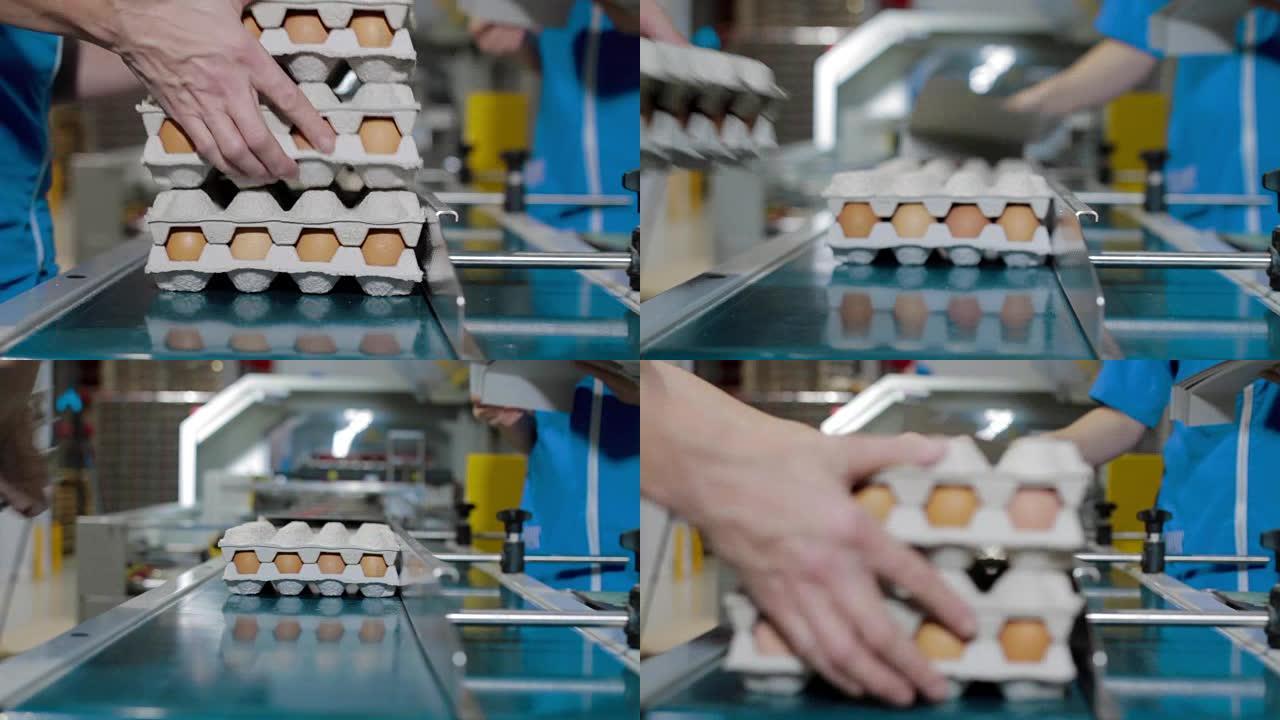 包装线鸡蛋生产鸡蛋