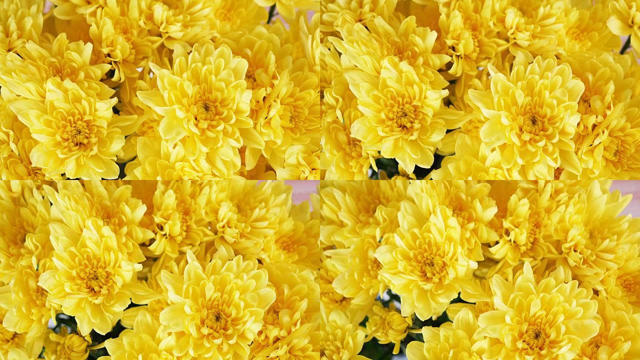 特写，俯视，鲜花，花束，旋转，由黄色菊花组成的洋甘菊