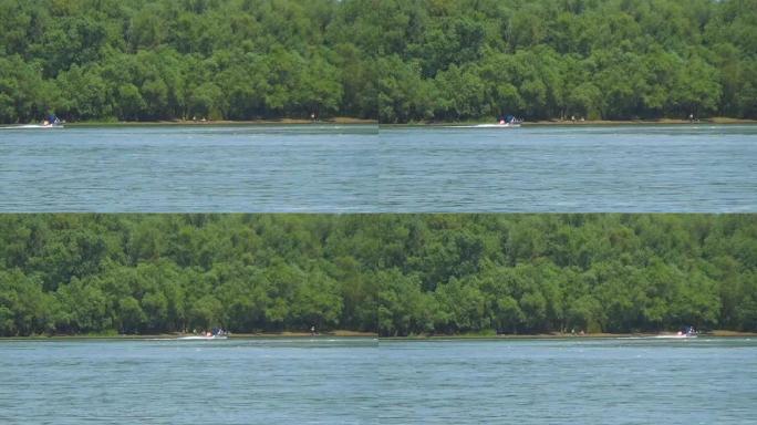 一艘运动游艇迅速游到森林河岸边