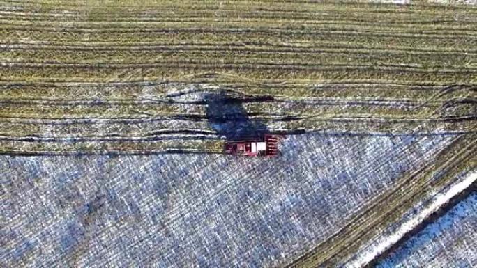 第一场雪后玉米地里的联合收割机!收割机正在切割成熟的干玉米。初冬降下第一场雪。飞行和起飞，鸟瞰图。