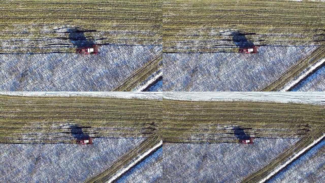 第一场雪后玉米地里的联合收割机!收割机正在切割成熟的干玉米。初冬降下第一场雪。飞行和起飞，鸟瞰图。