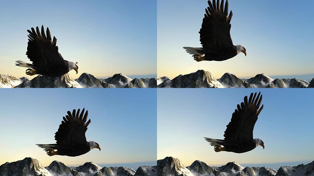 秃鹰飞越山脉全景